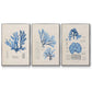 Blue Marine Algae IV - Floater Framed Canvas Set