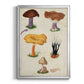 Mushroom Species VII - Modern Framed Canvas Print