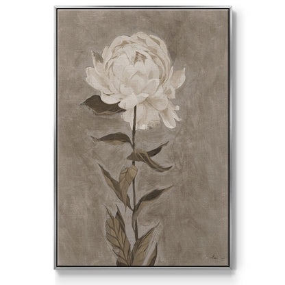 Pretty as a Peony I  -  Framed Canvas Print