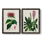 Antique Floral Folio I - Barnwood Framed Canvas Set