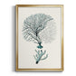 Antique Coastal Coral III - Modern Framed Canvas Print