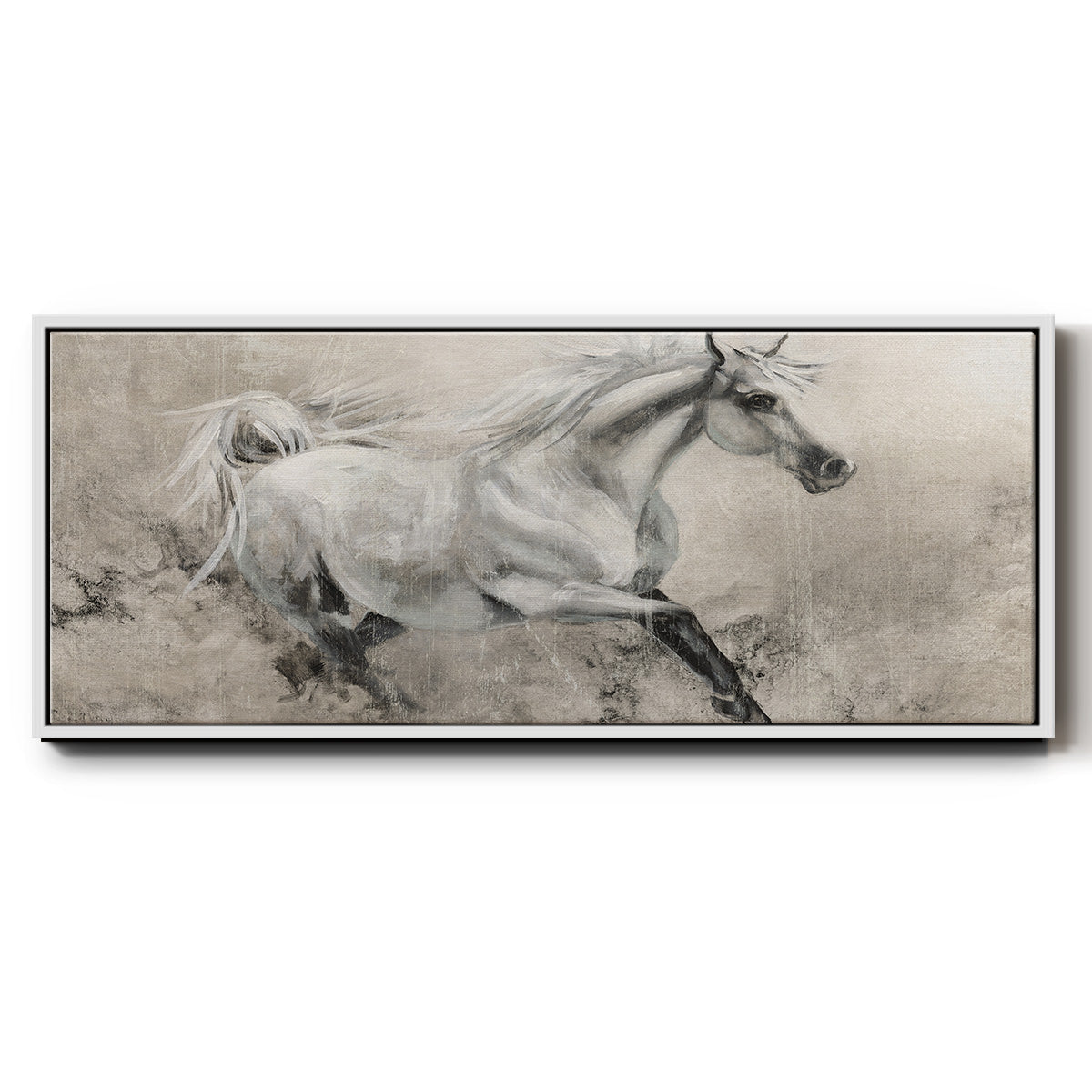 Majestic Stallion I - Floater Framed Canvas Print