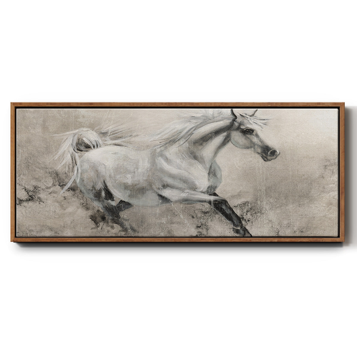 Majestic Stallion I - Floater Framed Canvas Print