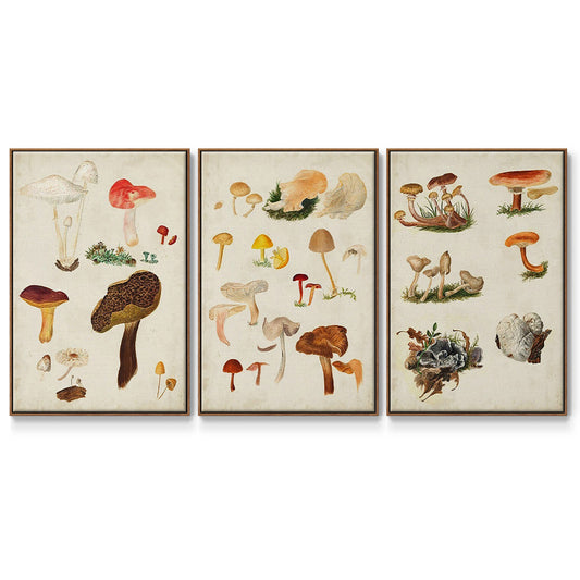 Mushroom Species X - Floater Framed Canvas Set