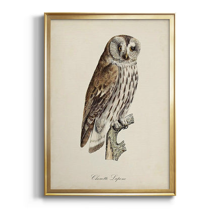 French Owls III - Modern Framed Canvas Print