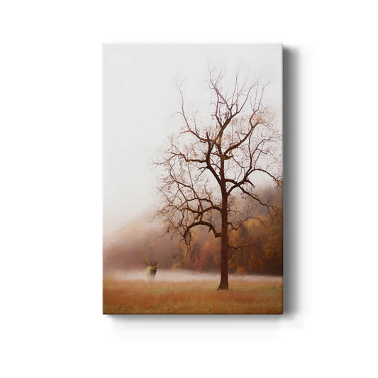 Photography Study Elk in the Mist - Canvas Art Print