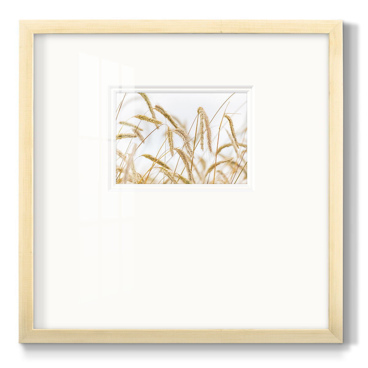 Wheat - Double Matboard Framed Print