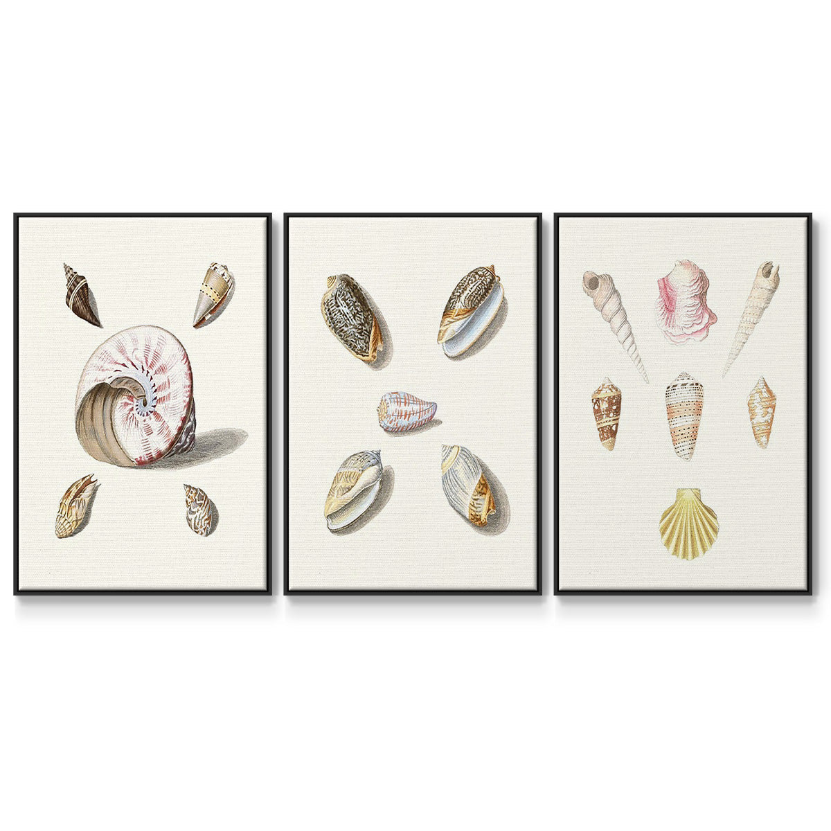 Paper Scene I - Floater Framed Canvas Set