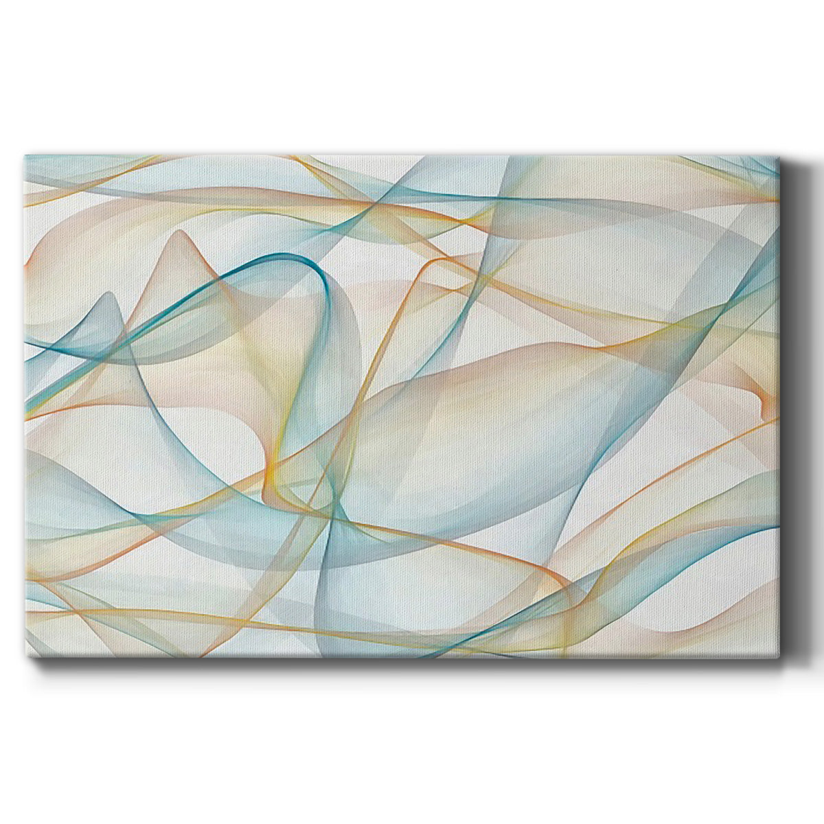 Curves and Waves V - Canvas Art Print