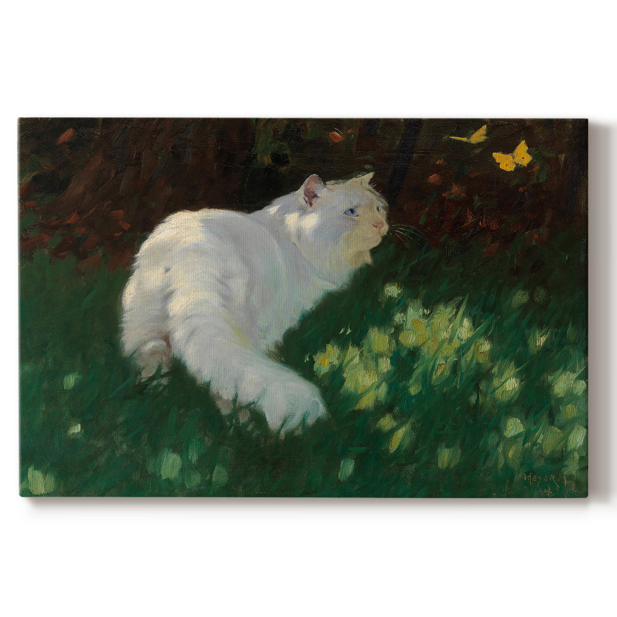 cat,white cat,garden,butterflies,relaxation,sunlight,greenery,flowers,afternoon,outdoor,nature,animal,pet,fluffy,peaceful,yellow,basking,soft,serene,playful,vibrant,sitting,observing,wildlife,tranquility,soft fur,leisure,day,insect,blooming,domestic,scene,colorful,habitat,warm weather,feline,natural light,cute,playful creatures,paws,beauty,grass