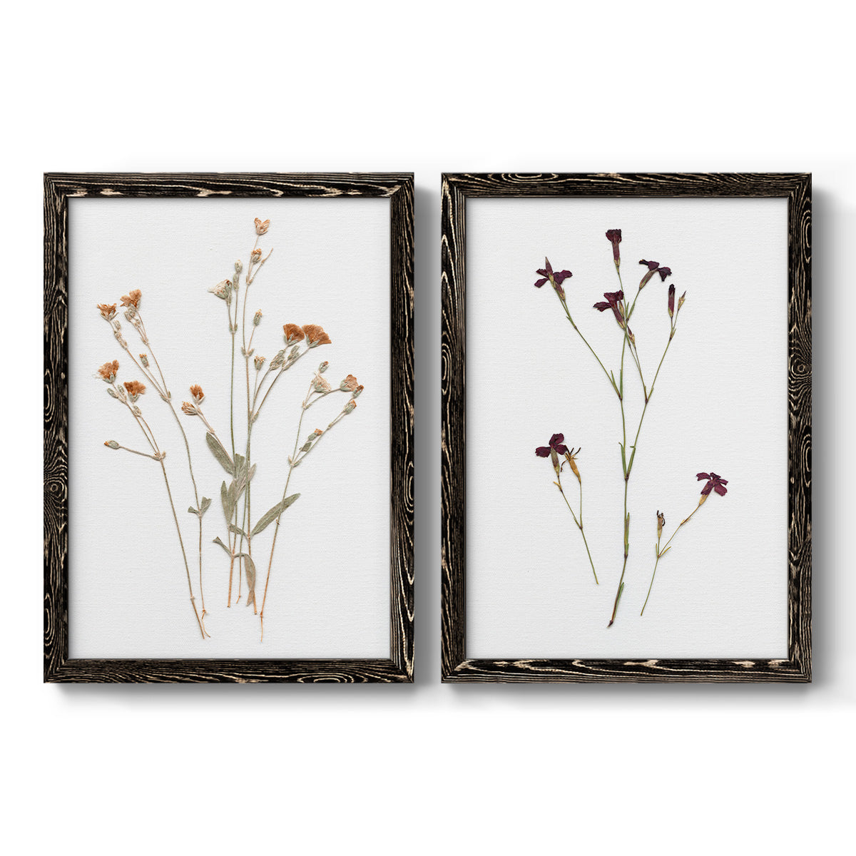 Pressed Botanical I - Premium Framed Canvas 2 Piece Set - Ready to Hang