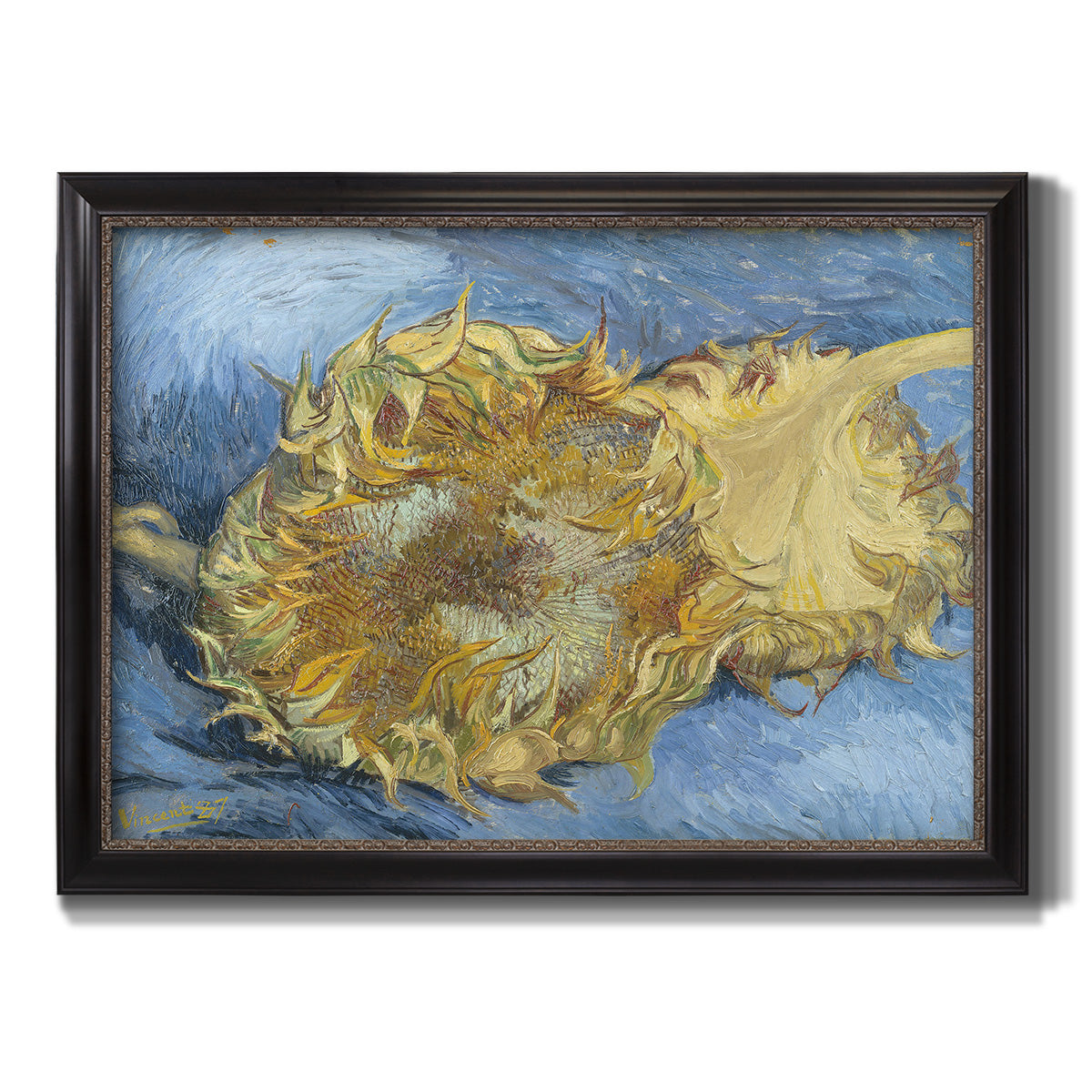 Two Cut Sunflowers - Ornate Framed Canvas Print