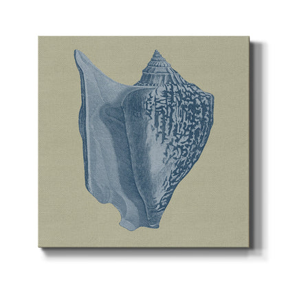 Chambray Shells I - Canvas Art Print