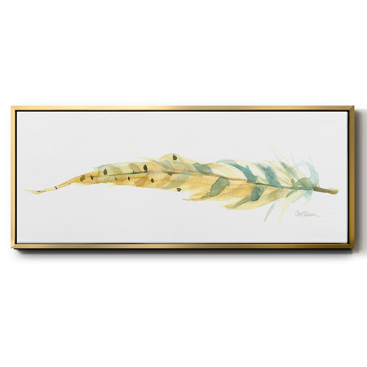Tail Feather III - Floater Framed Canvas Print