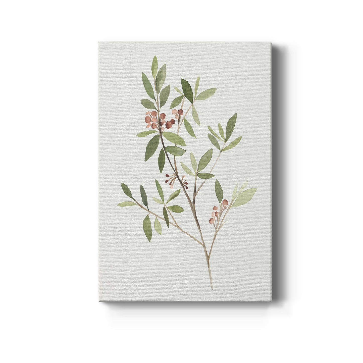 Single Sprig IV Premium Gallery Wrapped Canvas - Ready to Hang