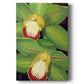 Lime Orchid I Premium Gallery Wrapped Canvas - Ready to Hang