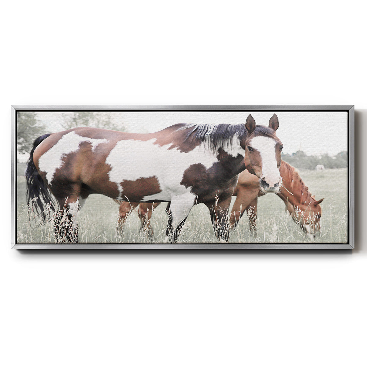 Grazin' - Floater Framed Canvas Print
