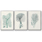 Antique Coastal Coral I - Floater Framed Canvas Set