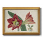 Amaryllis Splendor I Premium Framed Canvas- Ready to Hang