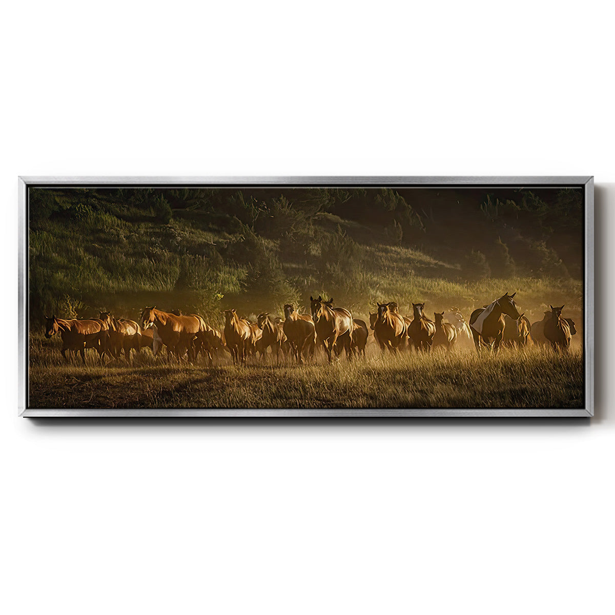 Wild and Free III - Floater Framed Canvas Print