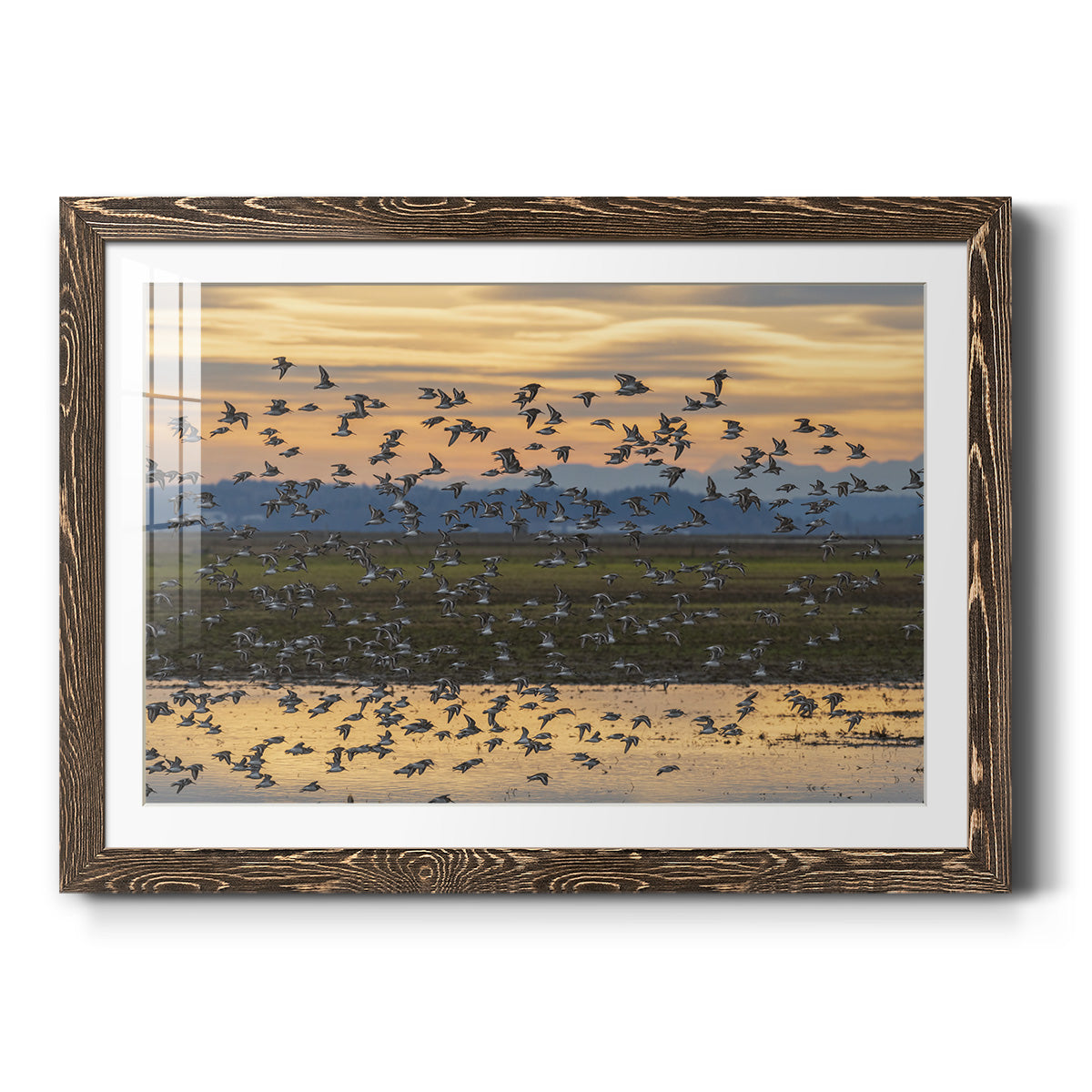 Sunset Flight - Barnwood Framed Art Print