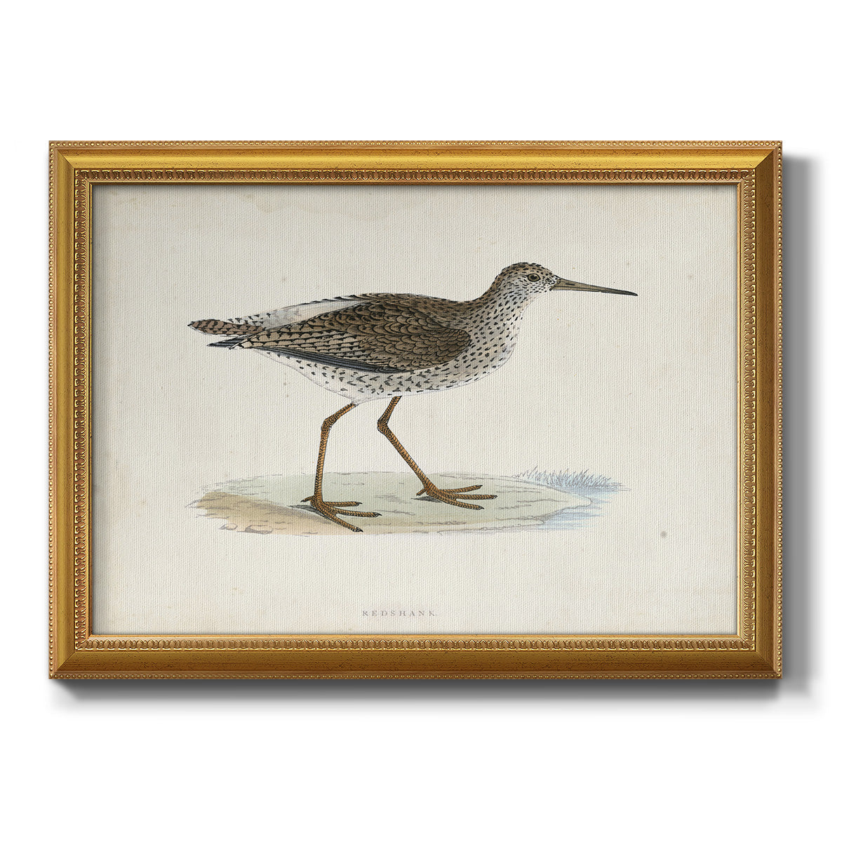 Morris Sandpipers V Premium Framed Canvas- Ready to Hang