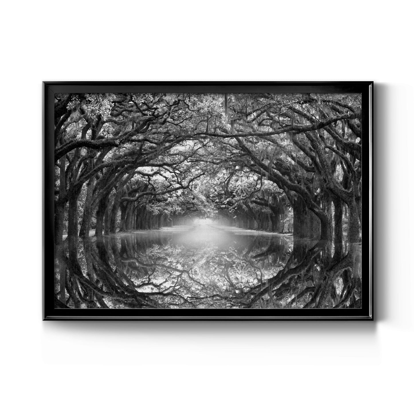 Oak Alley Reflection Premium Classic Framed Canvas - Ready to Hang