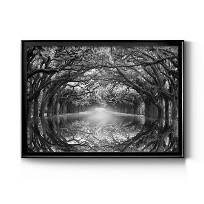 Oak Alley Reflection - Modern Framed Canvas Print