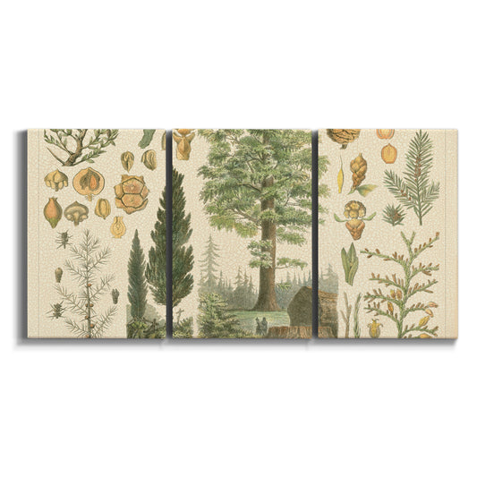 Three-panel canvas wall art featuring vintage floral botanical collage on white background.