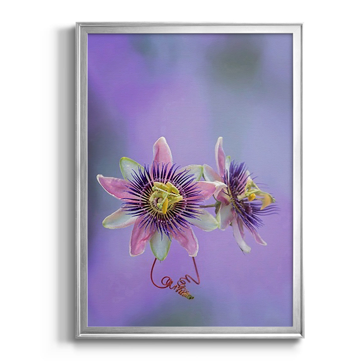 Exotic Flower Burst II - Modern Framed Canvas Print