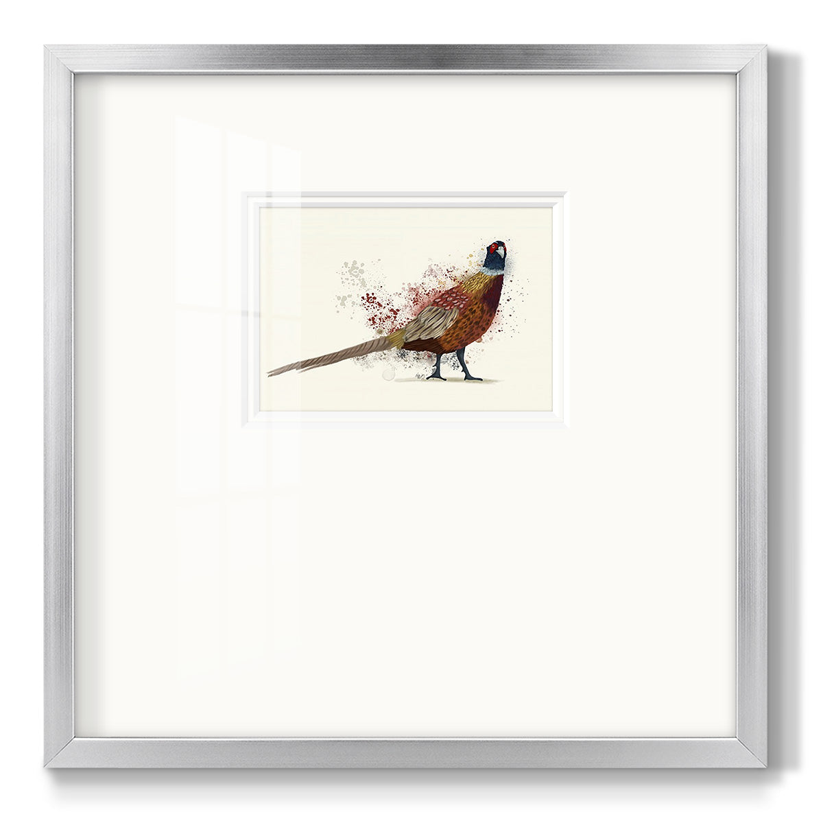 Pheasant Splash 2 - Double Matboard Framed Print