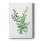 Eucalyptus III Premium Gallery Wrapped Canvas - Ready to Hang