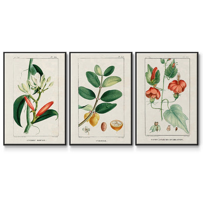 Turpin Tropical Botanicals IV - Framed Premium Gallery Wrapped Canvas L Frame 3 Piece Set - Ready to Hang