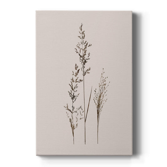 Delicate Stems I - Canvas Art Print