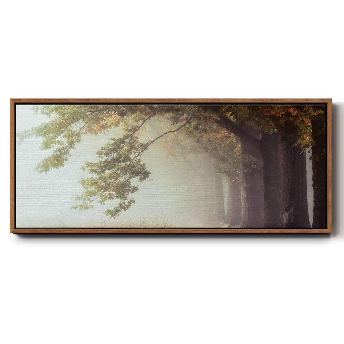 Dawnscratchers - Floater Framed Canvas Print