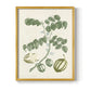 Buchoz Tropicals II - Restickable Framed Art Print