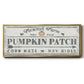 Pumpkin Patch II - Floater Framed Canvas Print
