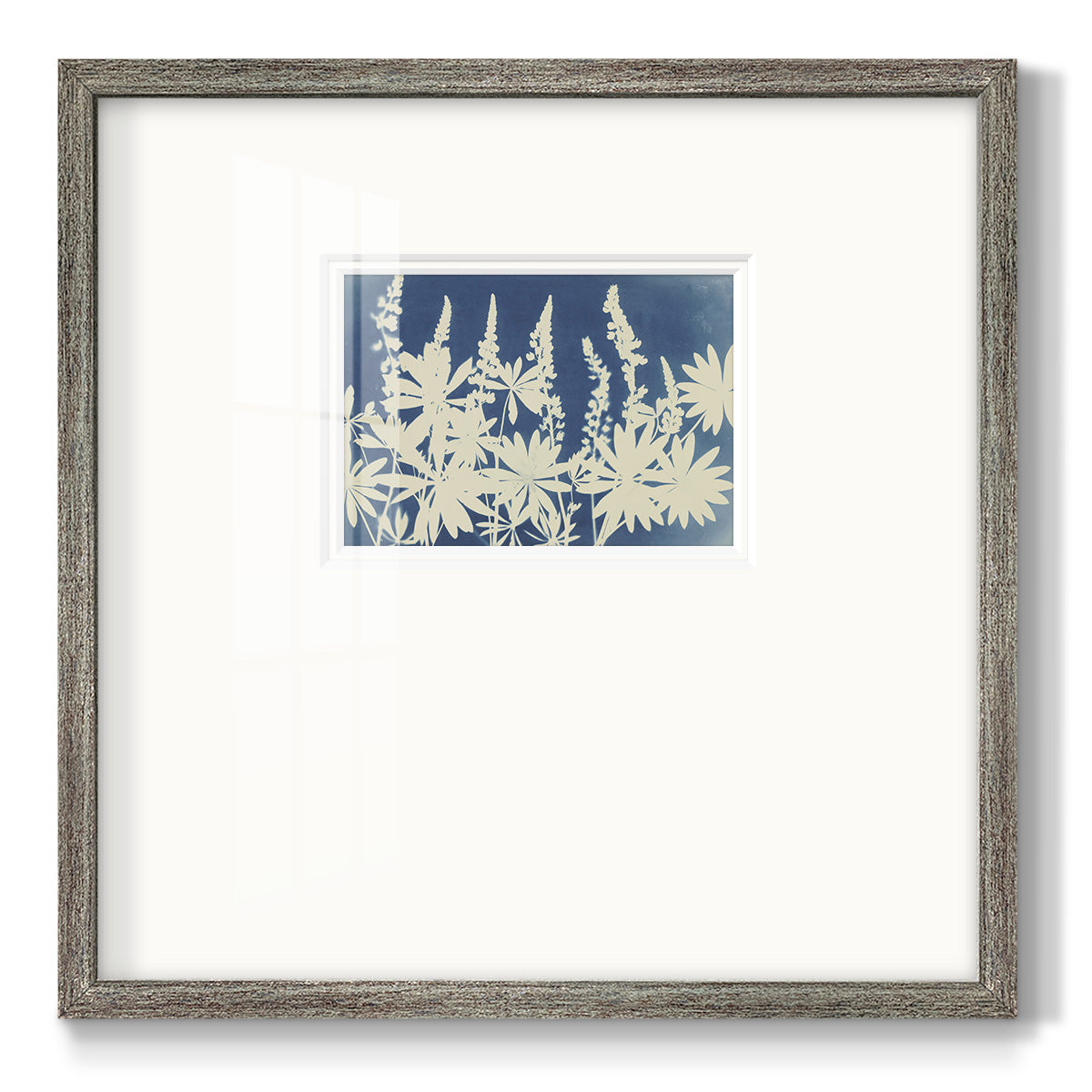 Lovely Lupine Premium Framed Print Double Matboard