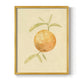 Dappled Oranges III - Restickable Framed Art Print