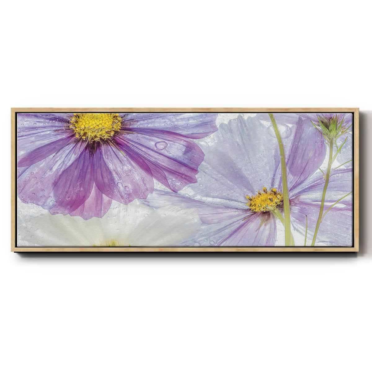 Frozen Floral II - Floater Framed Canvas Print