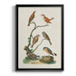 Antique Birds in Nature IV - Modern Framed Canvas Print