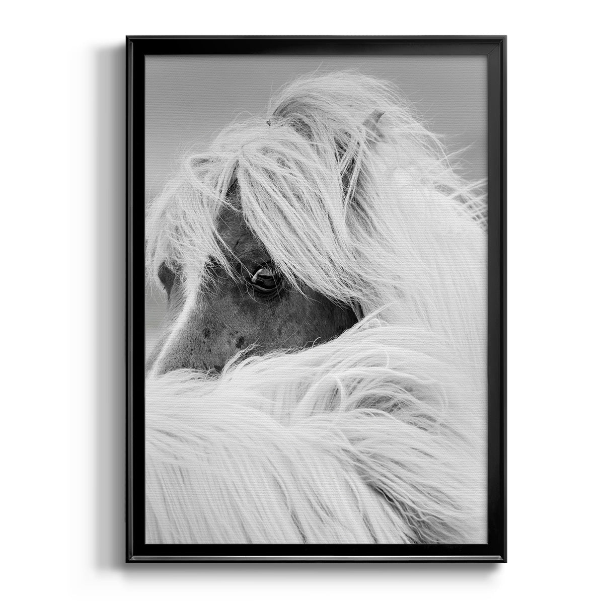 Island Pony II - Modern Framed Canvas Print