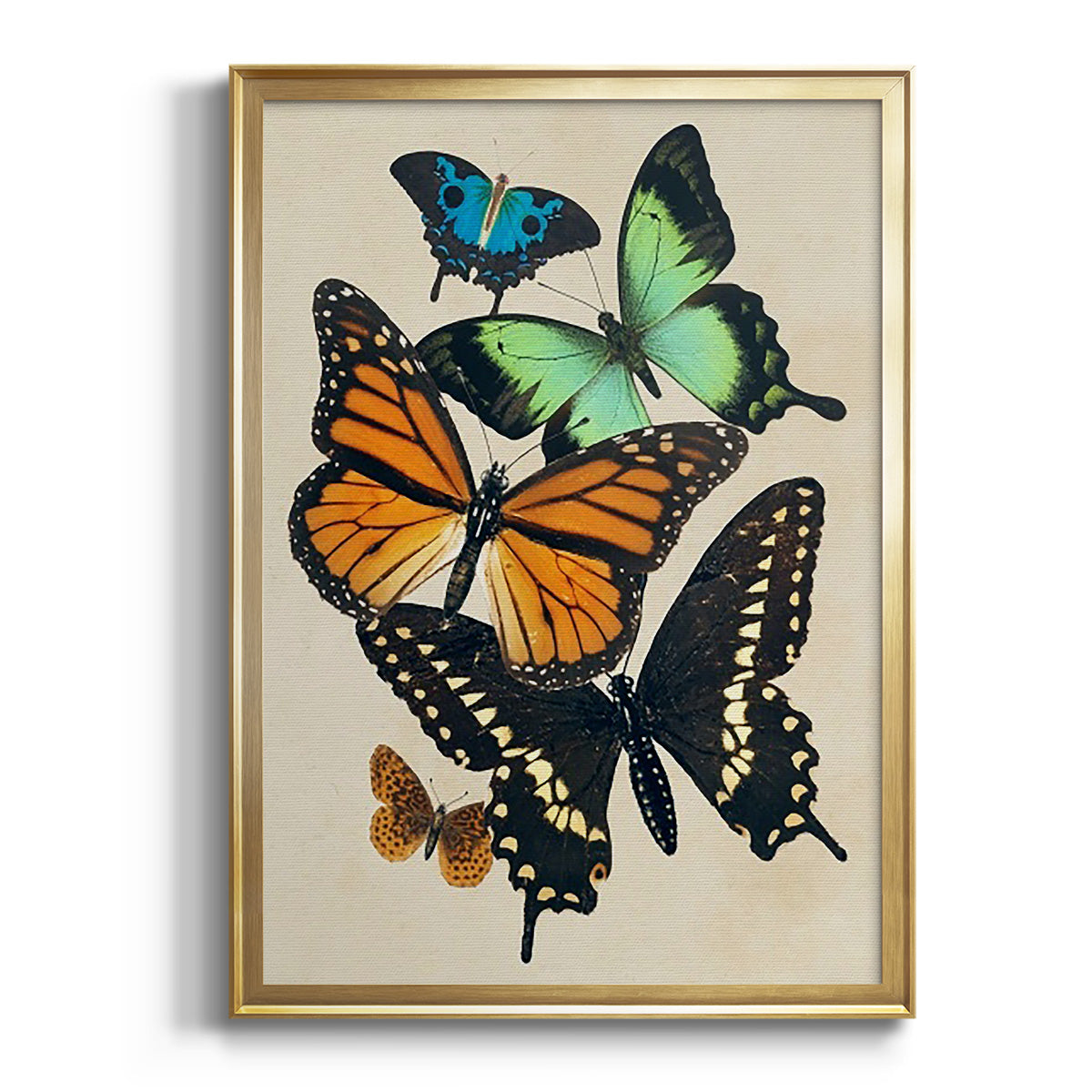 Collaged Butterflies I - Modern Framed Canvas Print