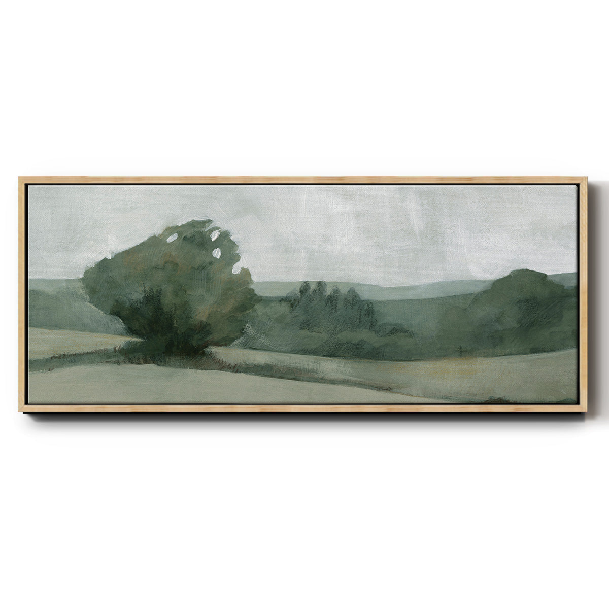 Soft Green Landscape I - Floater Framed Canvas Print