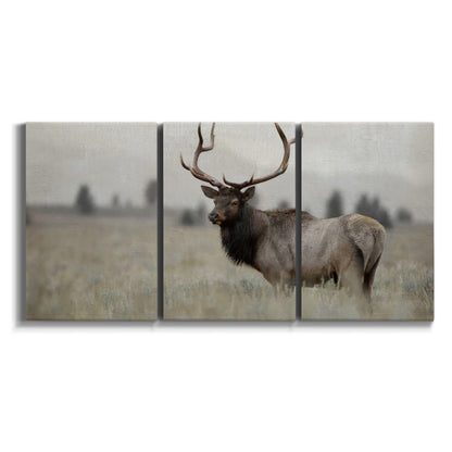 Three-panel canvas wall art featuring elk standing in open grassland on white background.