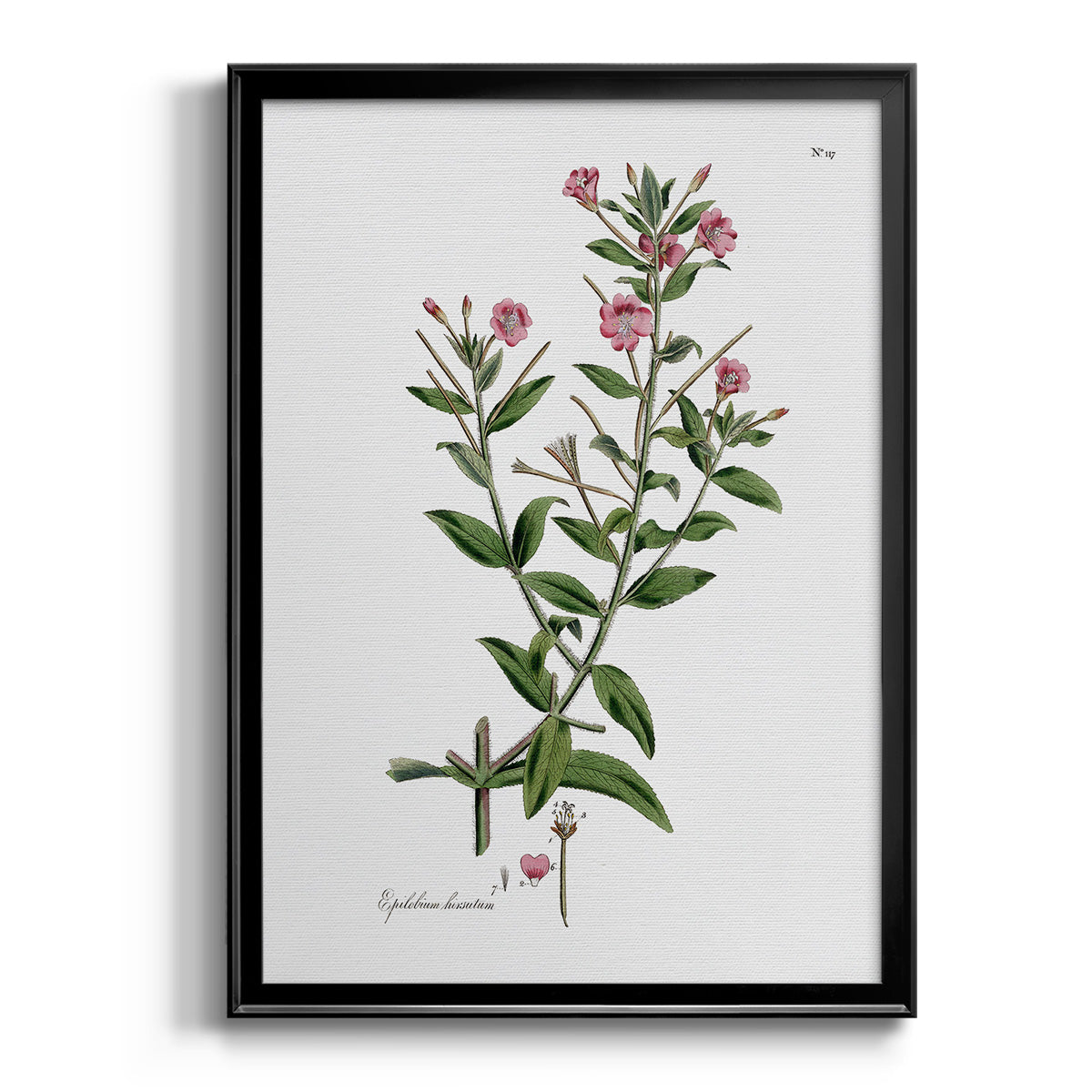 Rose Botanical III - Modern Framed Canvas Print