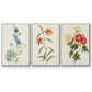 Flowers of the Seasons I - Floater Framed Canvas Set