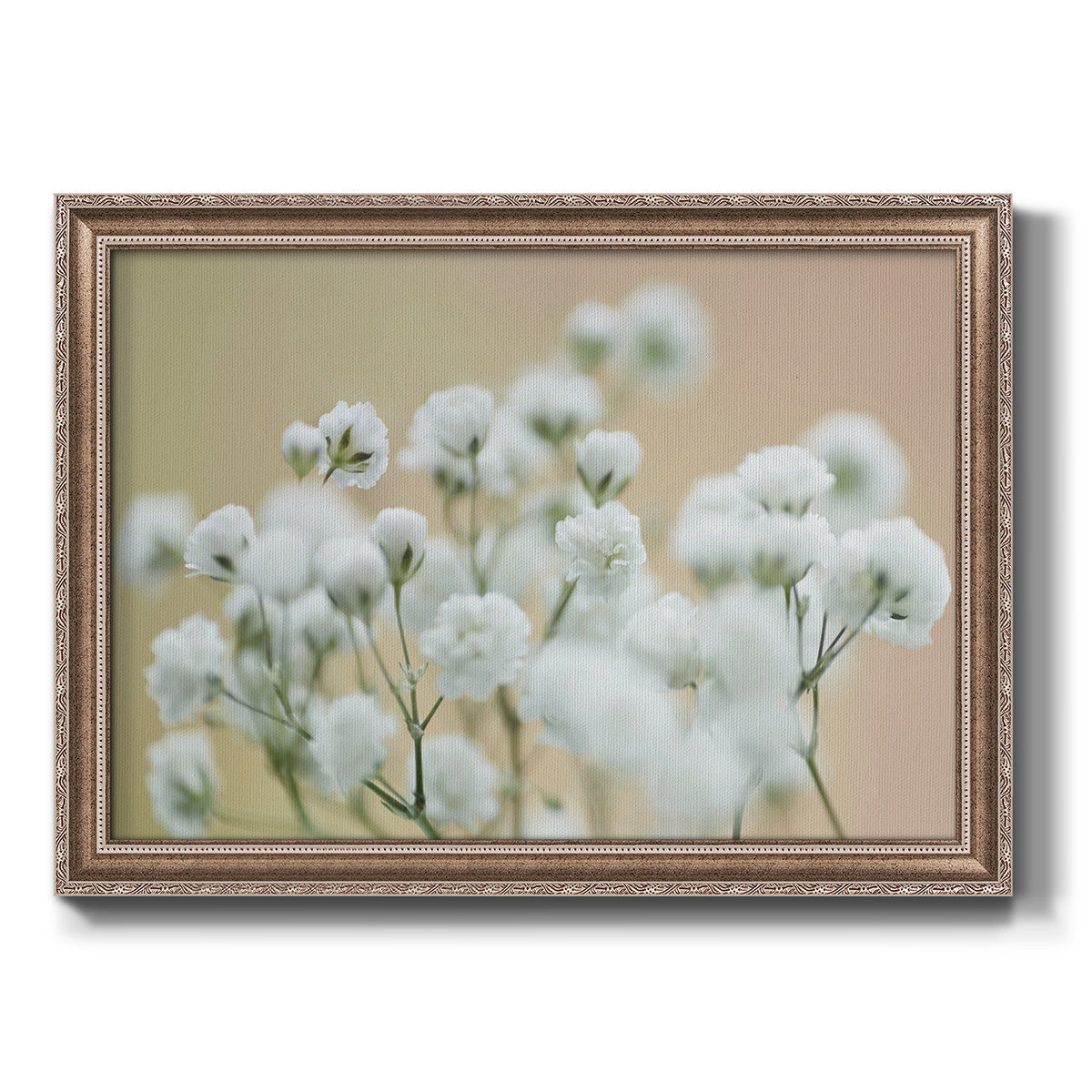 Baby's Breath Study II Premium Framed Canvas- Ready to Hang