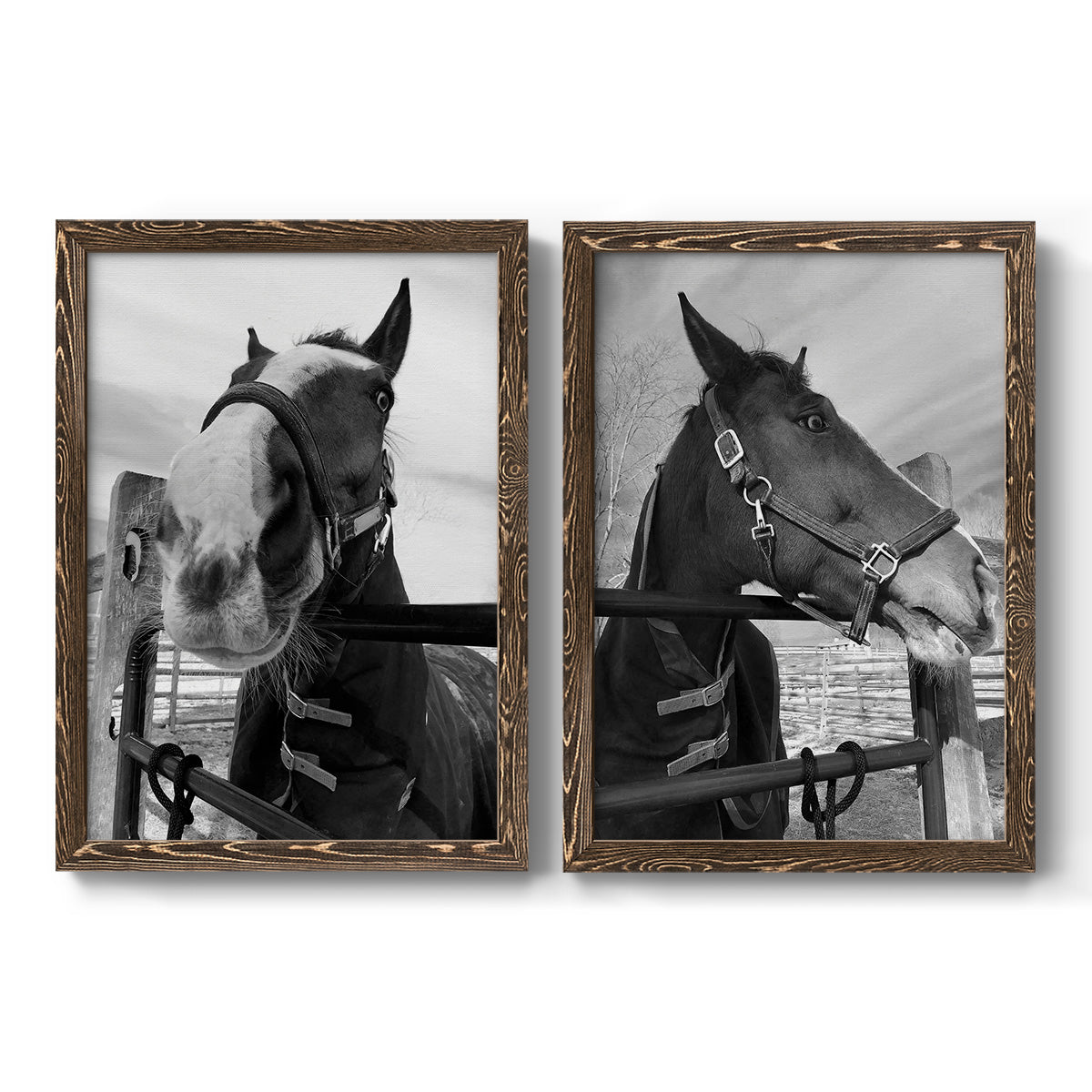 Argenteuil - Premium Framed Canvas 2 Piece Set - Ready to Hang