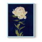 Pretty as a Peony I - Restickable Framed Art Print